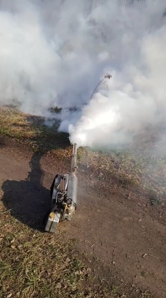 Результат дезинсекции видео